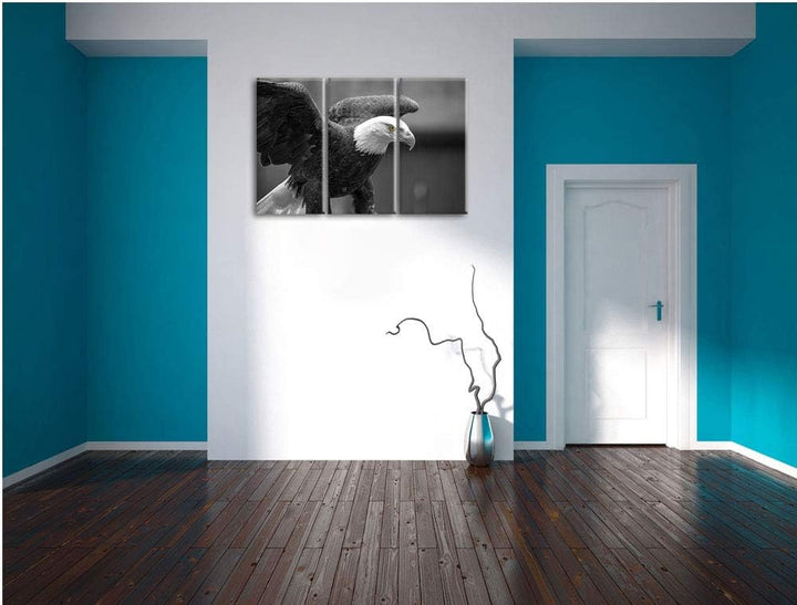 schöner Weisskopseeadler schwarz/weiss 3-Teiler Leinwandbild 120x80 Bild auf Leinwand, XXL riesige B