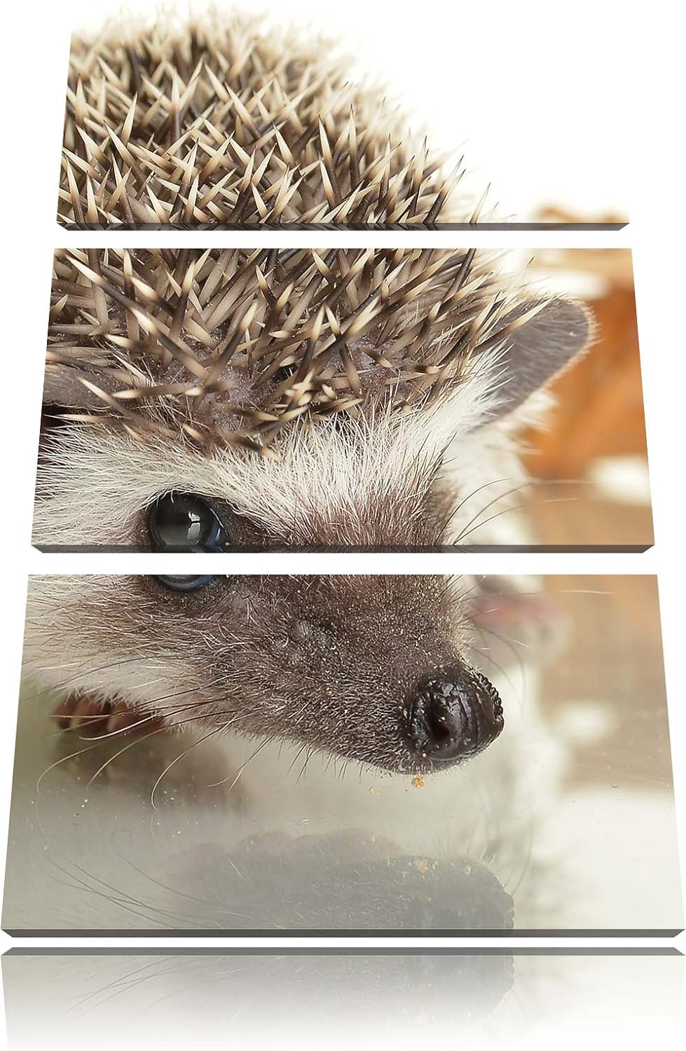 Pixxprint Süsser Igel 3-Teiler Leinwandbild 120x80 Bild auf Leinwand,