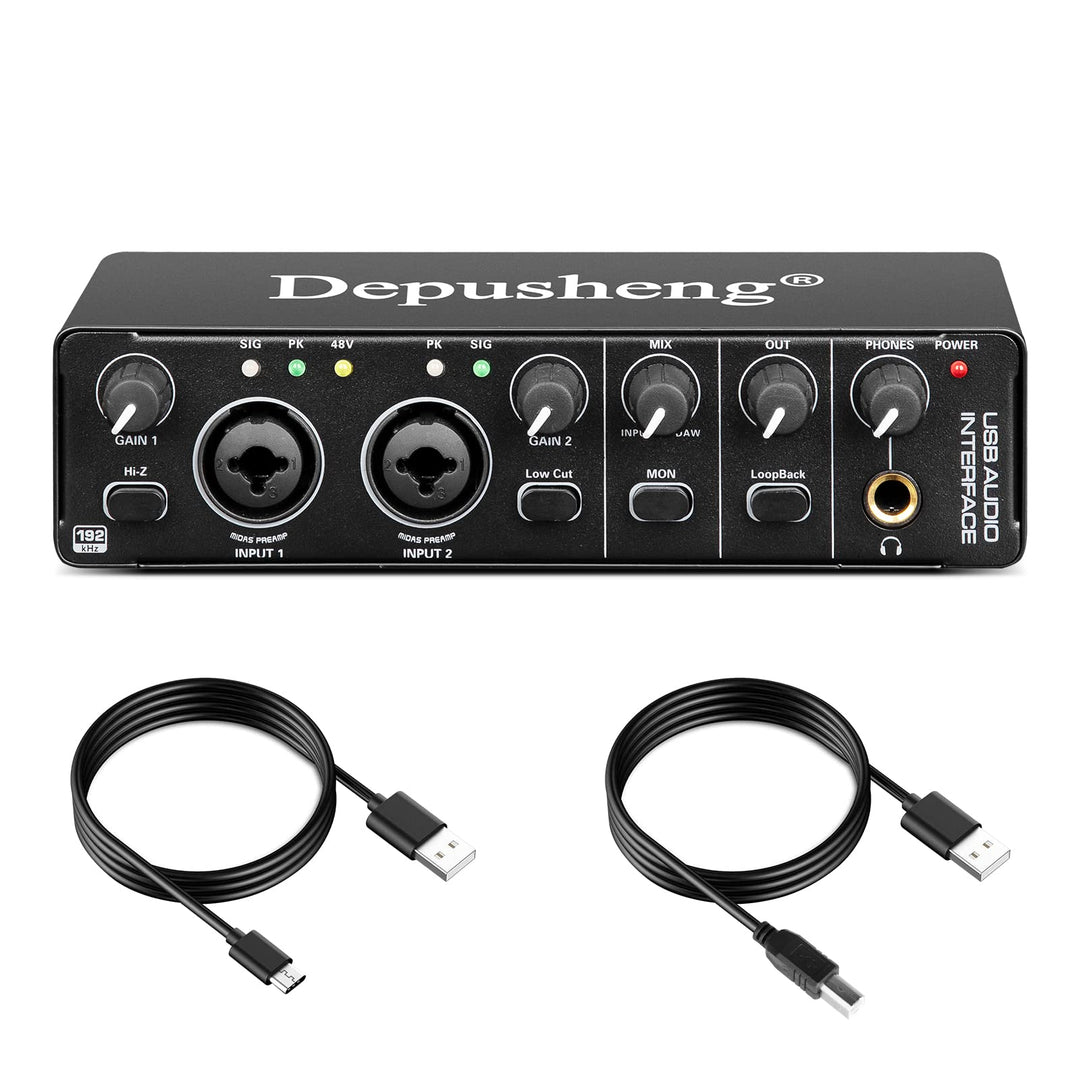 Depusheng RX2 USB Audio Interface Computer Aufnahme Soundkarte Audio Mixer Audio Interface für Home