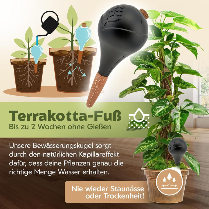 Bewässerungskugeln - XL (400 ml) - automatische Pflanzen Bewässerung - Wasserspender Pflanzen - Tonk