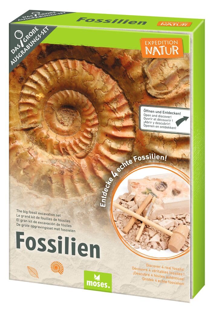 Moses. Expedition Natur Das grosse Fossilien-Ausgrabungs-Set, Gipsblock mit 5 echten Fossilien, Ausg