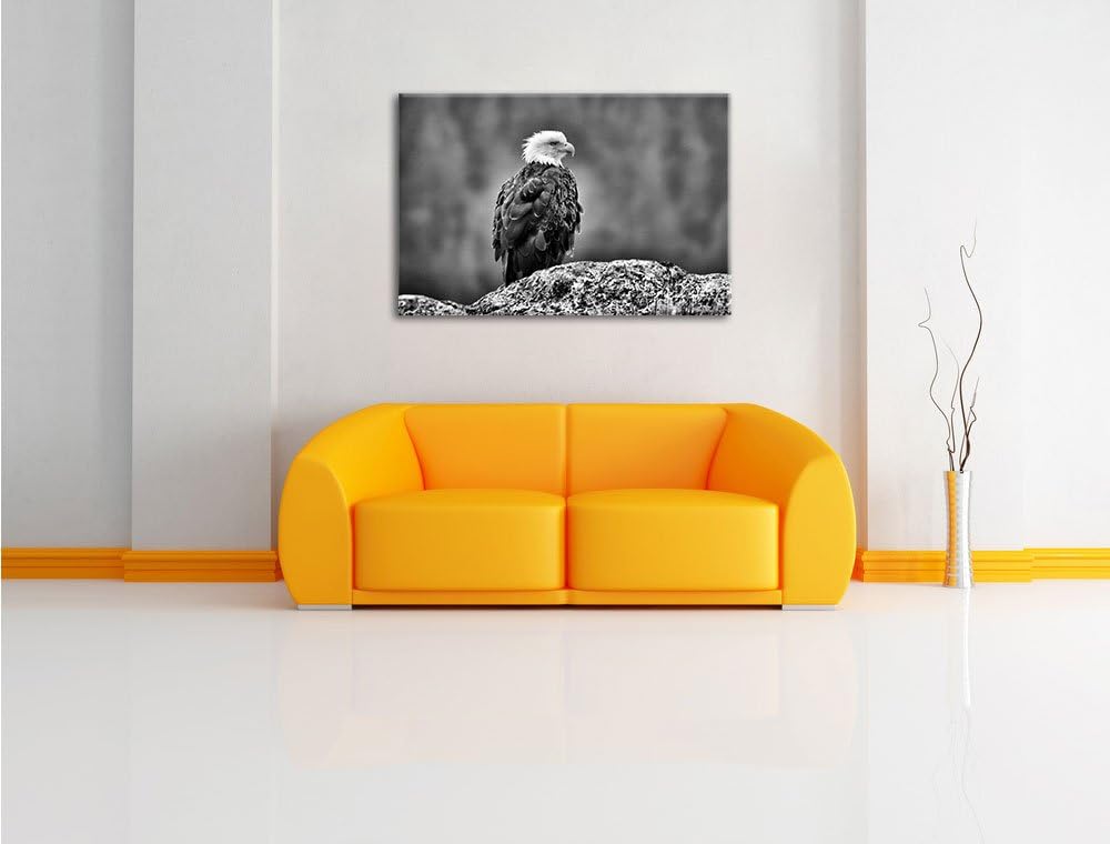 Pixxprint Monocrome, wachsamer Adler auf Fels, Format: 100x70 auf Leinwand, 100x70