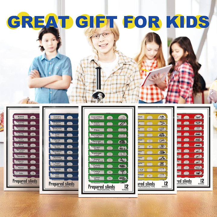 Ninyoon 60pcs Mikroskop Objektträger mit Proben für Kinder - Kinder präpariert Mikroskop Objektträge
