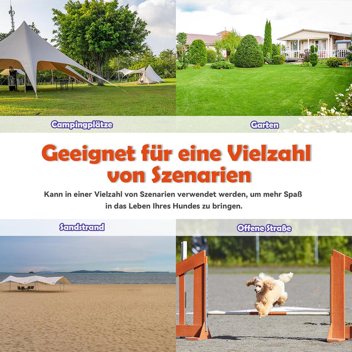 Agility Set Hürdenset Hundetraining Zubehör mit 4 Stück Hürden, Slalom Stangen Agility-Ausrüstung fü