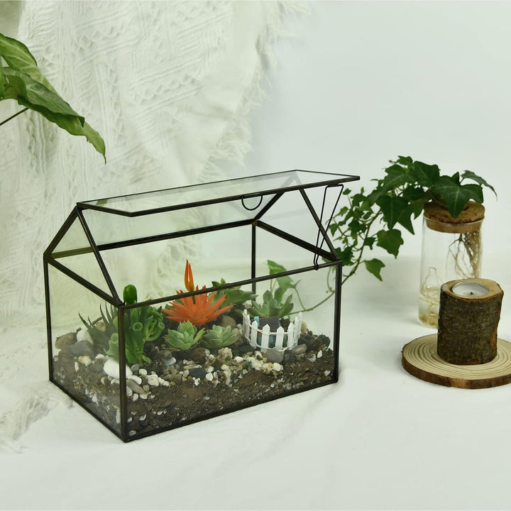 Grosses Glas Pflanze Terrarium - Haus Sukkulenten Glas Terrarium Kit mit Lippe Glas Gewächshaus Terr