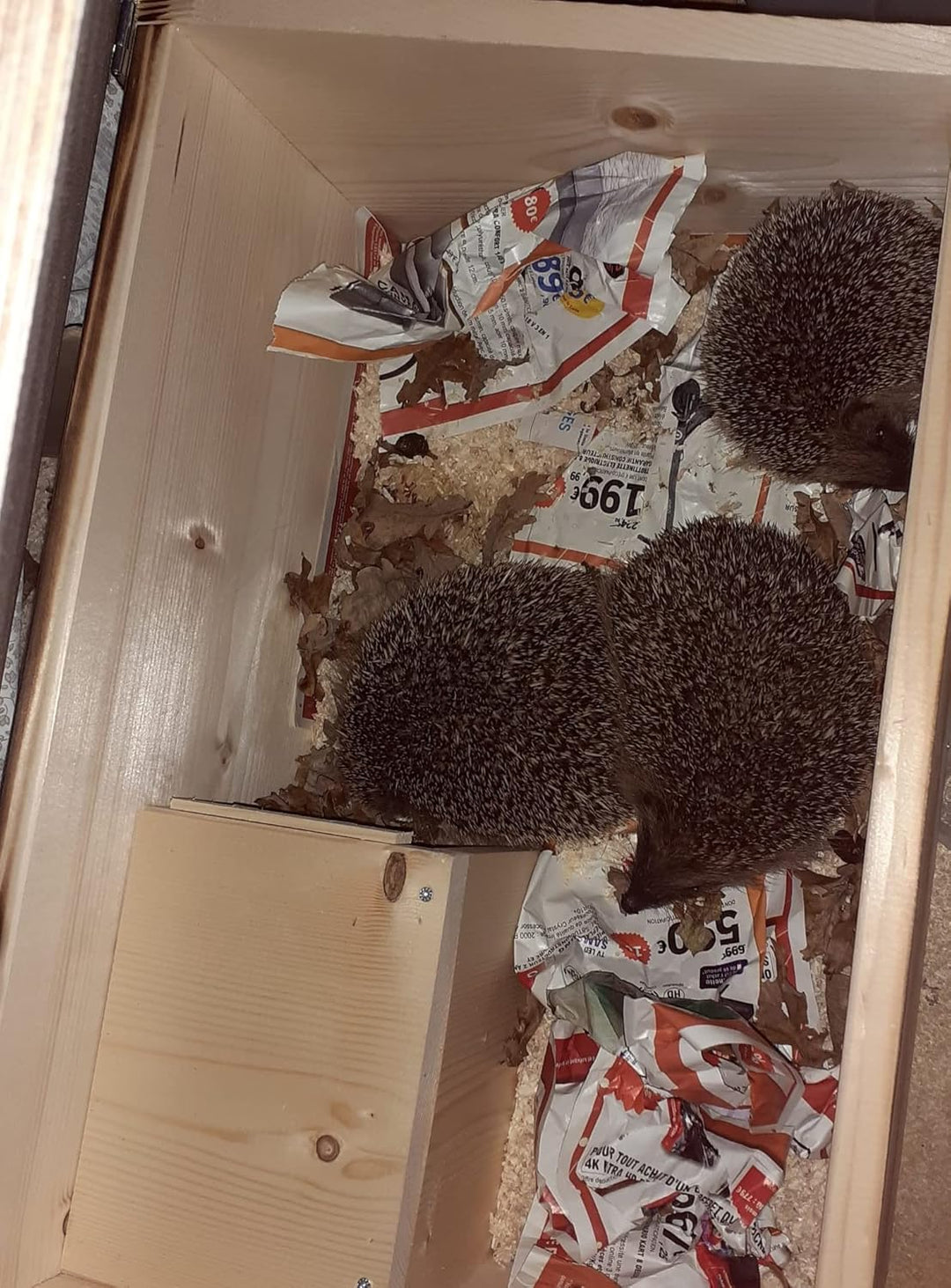 Premium Igelhaus 62cm x 40cm x 29cm Igelhotel 20mm Vollholz Winterfest Kein Bausatz: Labyrintheingan