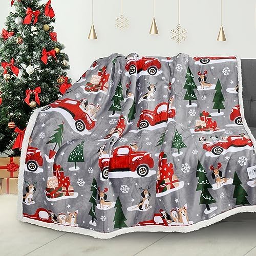 Catalonia Classy Sherpa Decke Kuscheldecken, Extra Dicke Warm Sofadecke Couchdecke in zweiseitig, Su