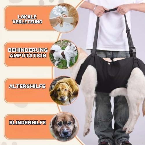 Hunde Tragehilfe, Tragehilfe Hund Treppe Verstellbare Gehhilfe für Hunde, Hundeliftgeschirr für Hint