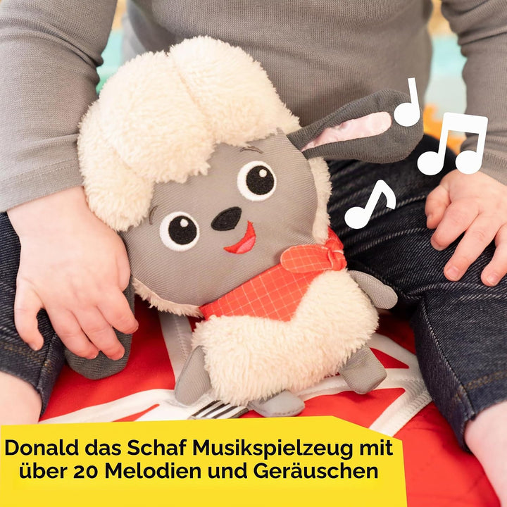 Baby Einstein Farm Explorers Happy Harvest Touch &amp; Feel Aktivitätsspielzeug mit musikalischem Plüsch