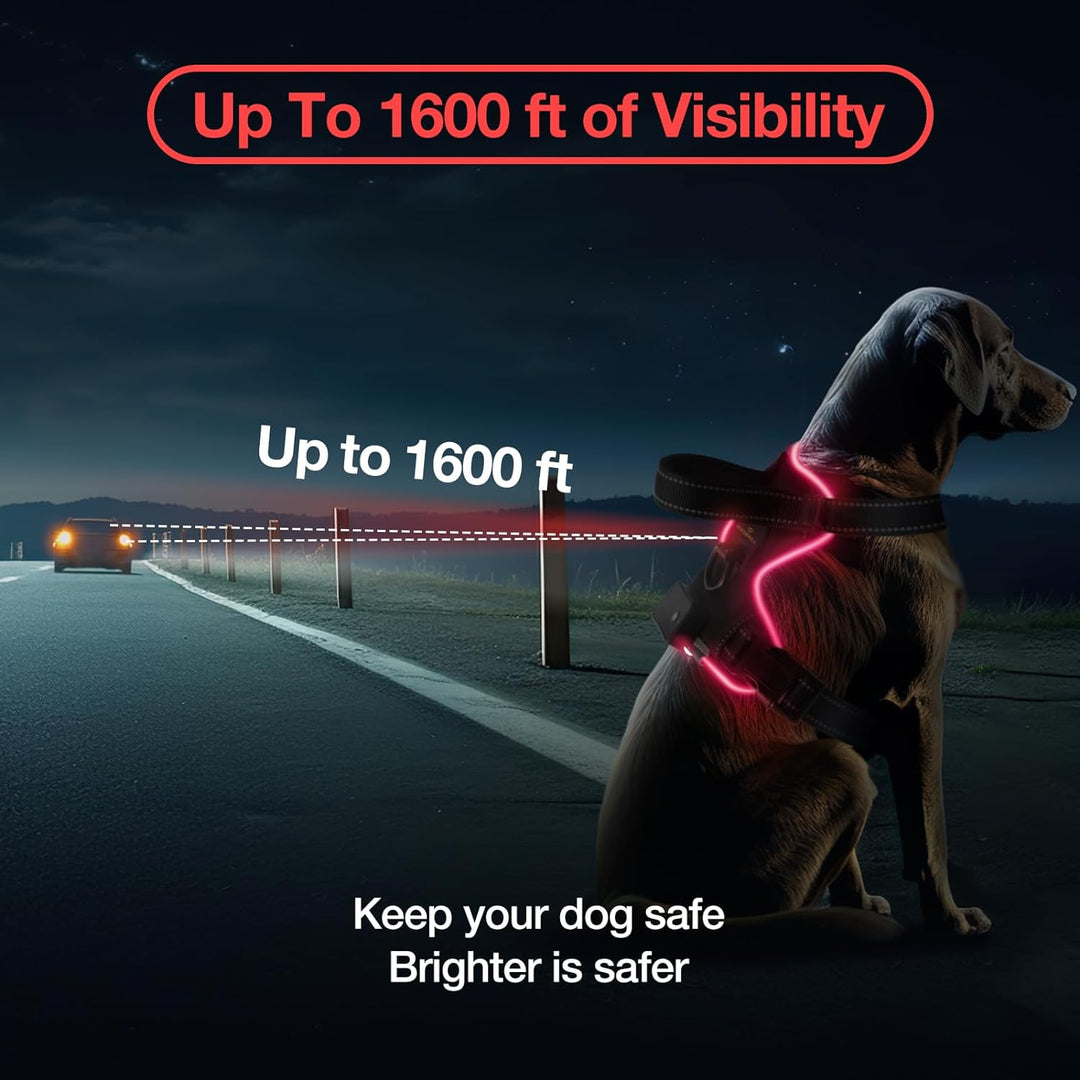 Hundegeschirr Leuchtend Aufladbar, LED Hundegeschirr Verstellbar Reflektierend mit Griff, Weich Gepo