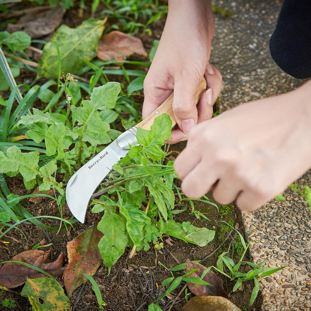 Berry&Bird Hawkbill Pruner Knife, klappbares Taschenmesser, Veredelungsmesser mit Edelstahlklinge, G