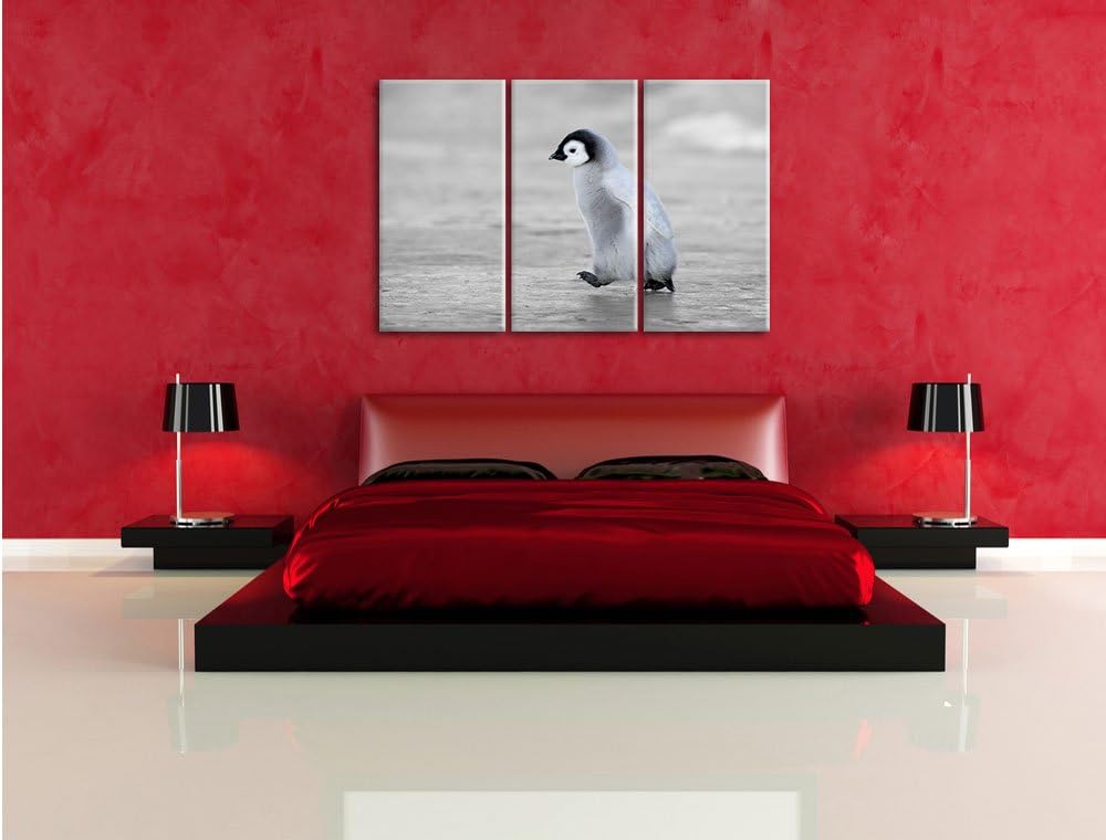 Pixxprint Niedliches Kaiserpinguinkücken als Leinwandbild/Grösse: 3 Teilig (120x80) cm/Wandbild/Kuns