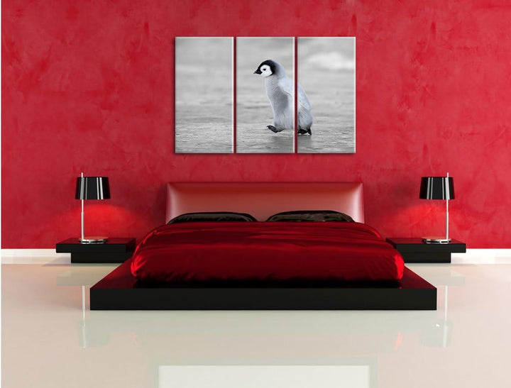 Pixxprint Niedliches Kaiserpinguinkücken als Leinwandbild/Grösse: 3 Teilig (120x80) cm/Wandbild/Kuns