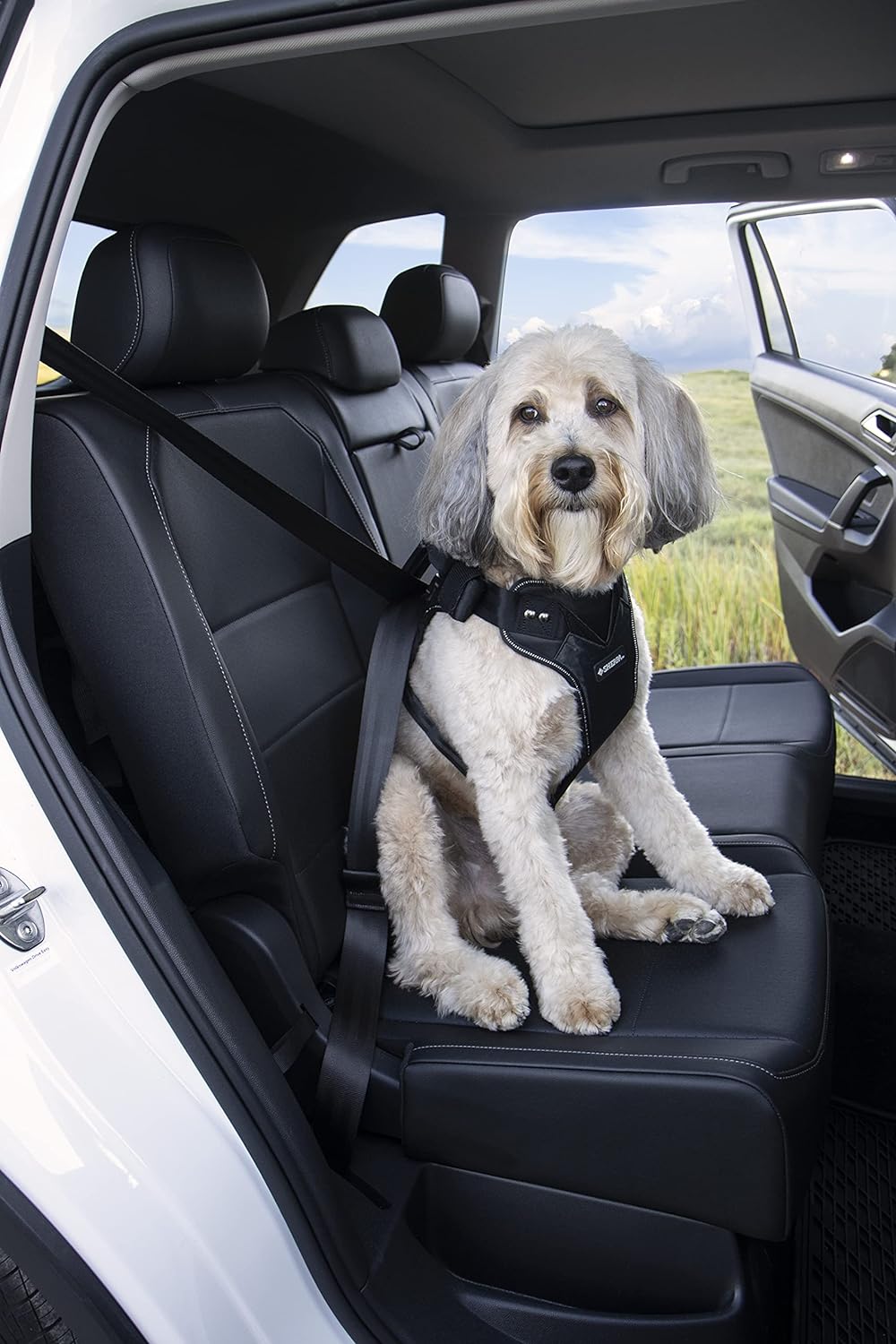 Sherpa Crash-Tested Mehrzweck-Sicherheitsgurt-Hundegeschirr, Schwarz, Grösse L Large Crash-Tested Hu