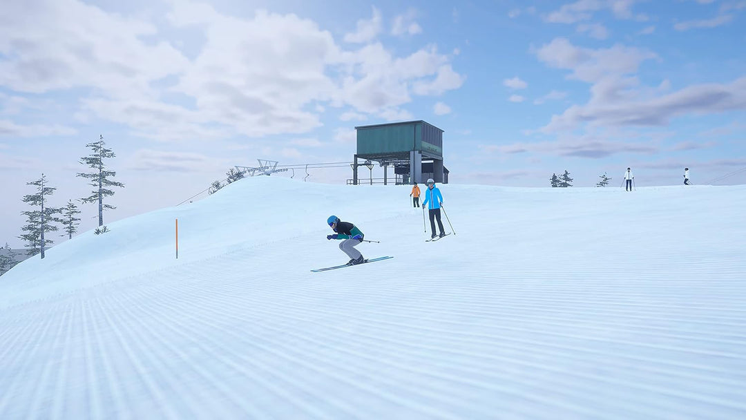 Alpine the Simulation Game (PS4)