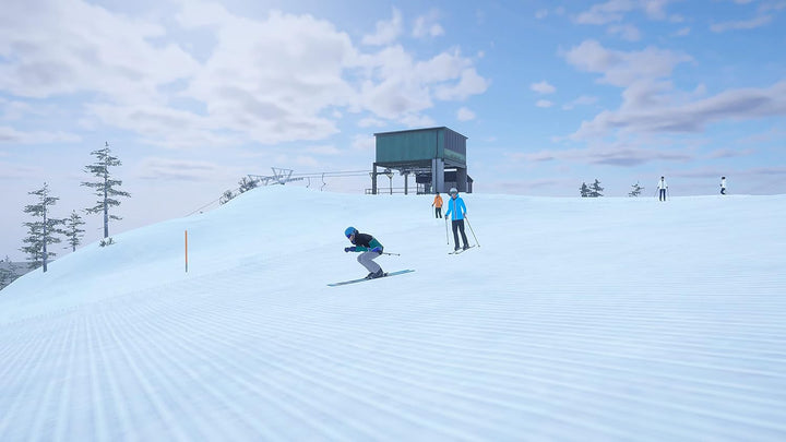Alpine the Simulation Game (PS4)