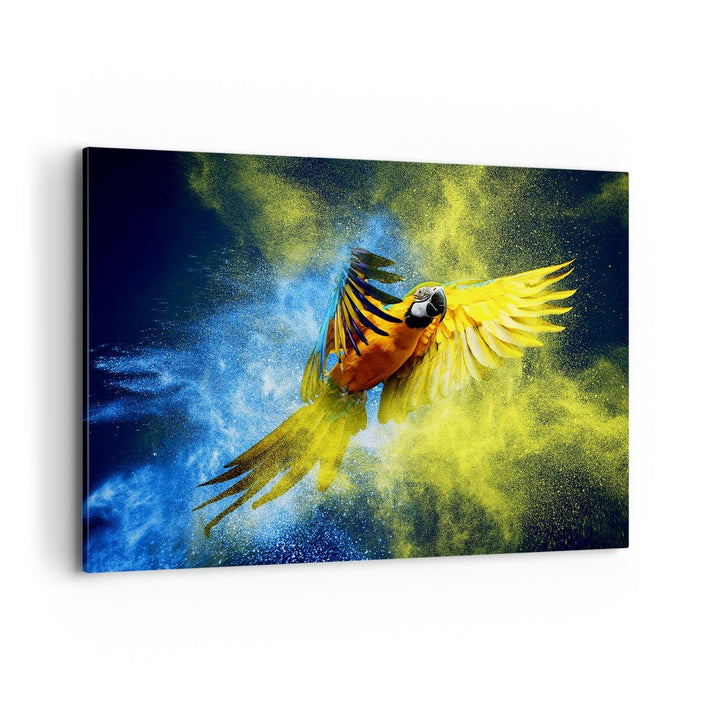 Bilder auf Leinwand 100x70cm Leinwandbild mit Rahmen Papagei Vogel Feder Gross Wanddeko Bild Schlafz