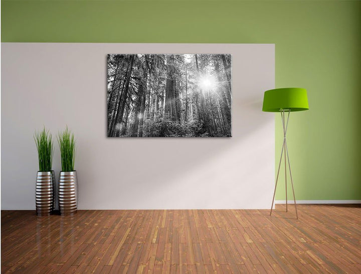 Pixxprint Wald bei Sonnenlicht als Leinwandbild/Grösse: 100x70 / Wandbild/Kunstdruck/fertig bespannt