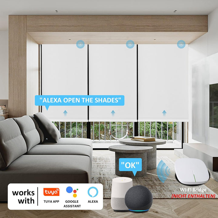 HOMEDEMO Elektrische Rollos Wiederaufladbare Verdunklungsrollo mit Motor &amp; Fernbedienung, Weiss 50x1