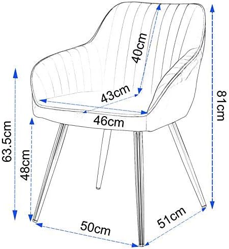 Lestarain 1 Stück Esszimmerstuhl, Küchenstuhl Wohnzimmerstuhl Sitzfläche Aus Samt Polsterstuhl Mit A