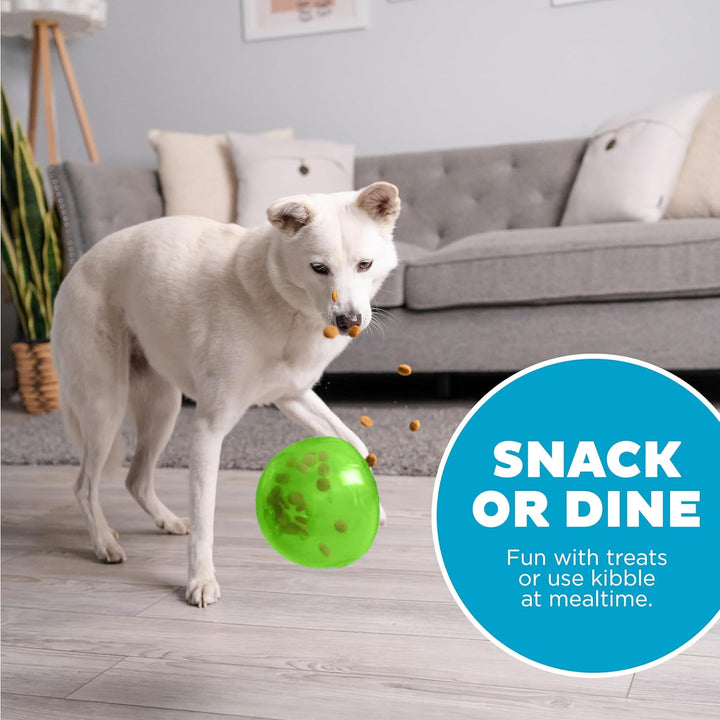 Outward Hound Planet Dog Hunde-Spielzeug, Orbee-Tuff Snoop, interaktives Leckerli verteilendes Spiel