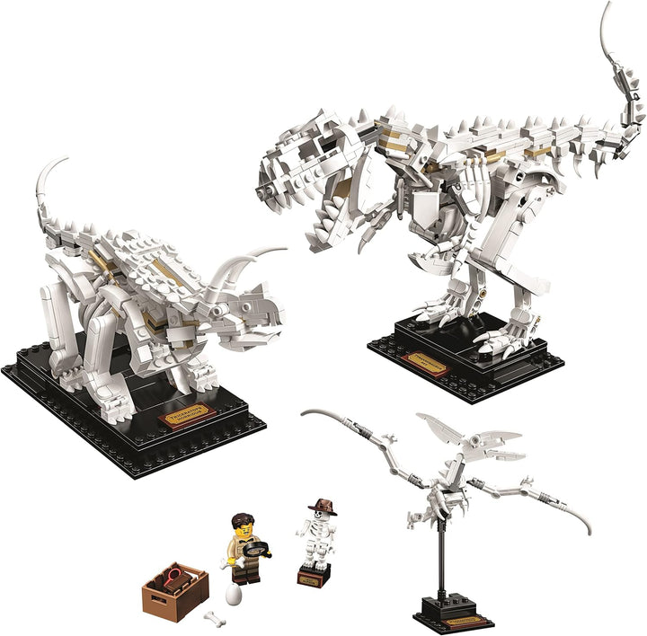 LEGO Ideas 21320 - Dinosaurierfossilien