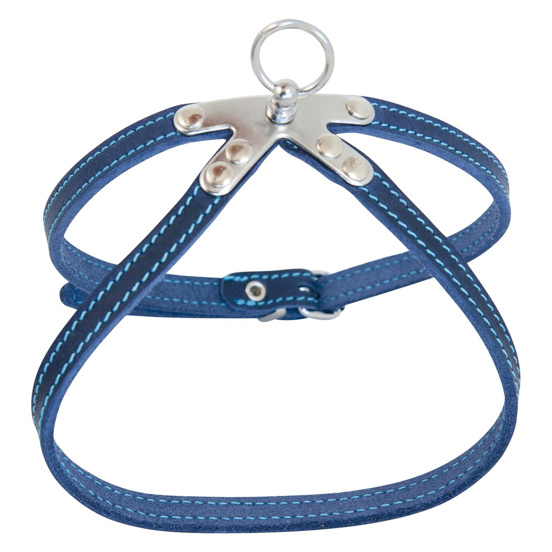 JACK AND VANILLA, Robustes Ledergeschirr für Hunde, individuelle Passform, verstärkte Sicherheit, Le
