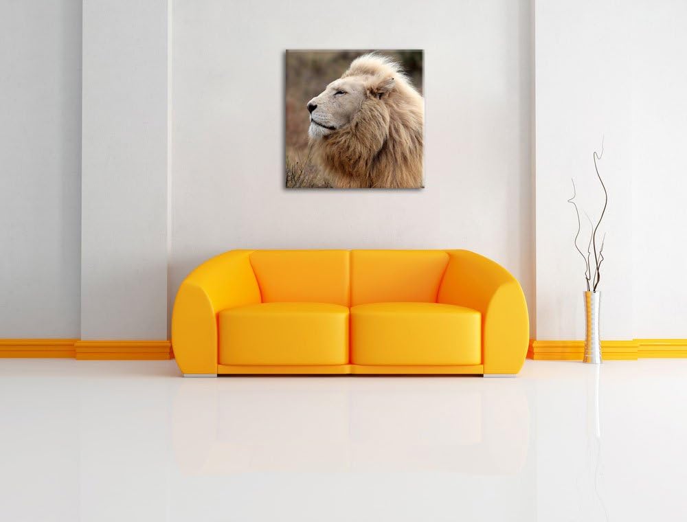 Weisser Löwe im Gebirge, Format: 70x70 auf Leinwand, XXL riesige Bilder fertig gerahmt mit Keilrahme