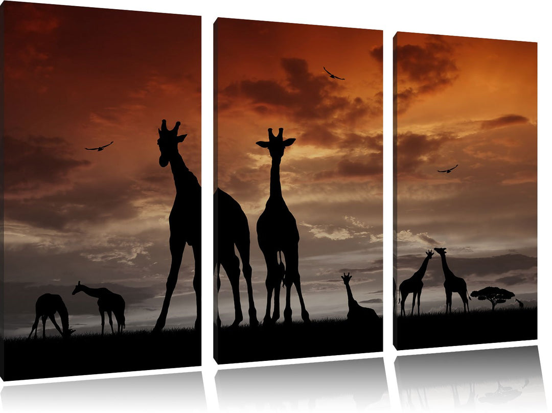Pixxprint Afrika Giraffen im Sonnenuntergang / 3-Teilig/Gesamtmass 120cm Leinwandbild bespannt auf H
