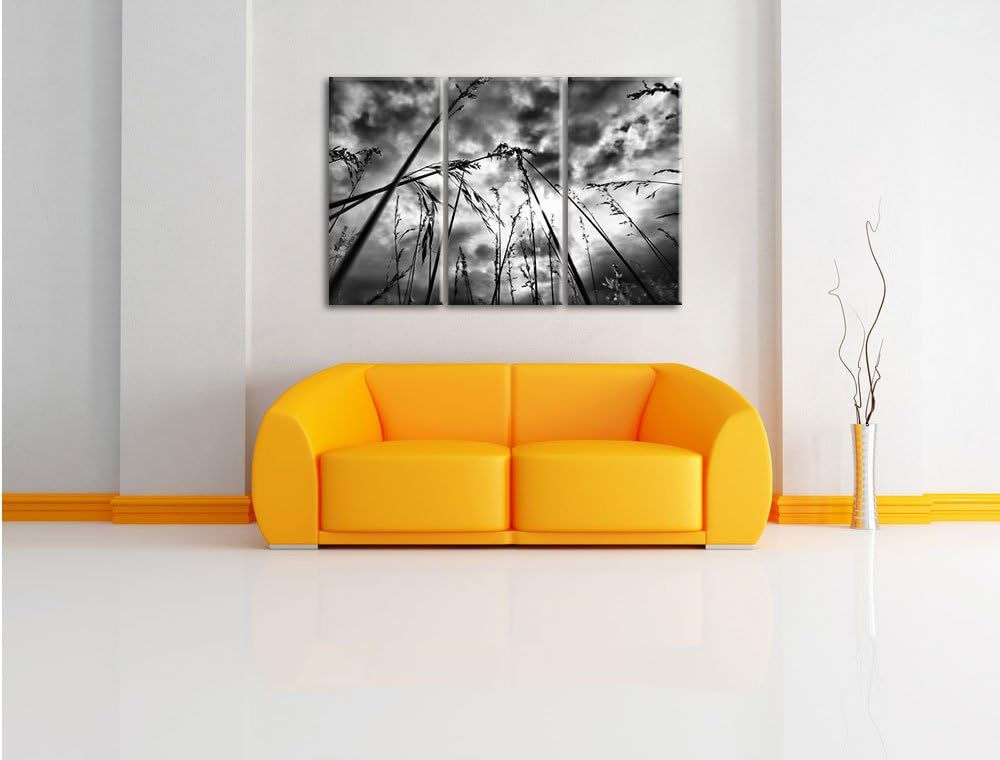 Pixxprint Düsteres Gras vorm Regen als Leinwandbild/Grösse: 3 Teilig (120x80) cm/Wandbild/Kunstdruck