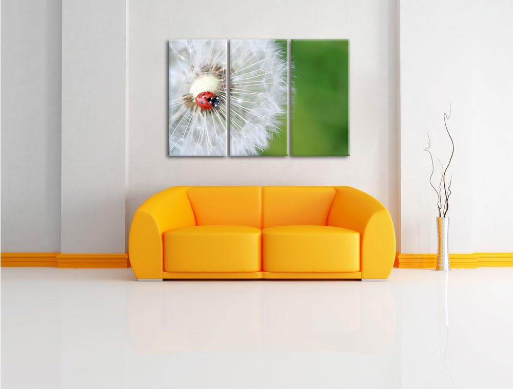 Pixxprint Marienkäfer auf einem Löwenzahn / 3-Teilig/Gesamtmass 120cm Leinwandbild bespannt auf Holz