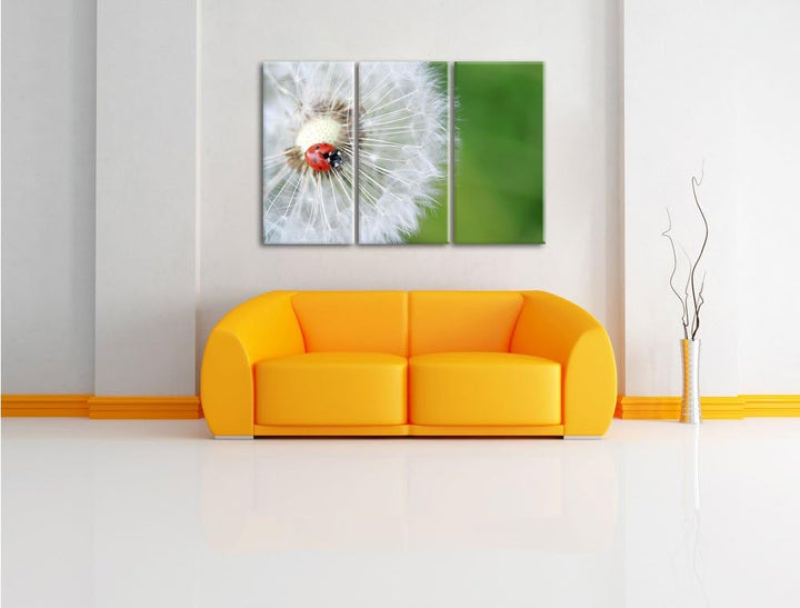 Pixxprint Marienkäfer auf einem Löwenzahn / 3-Teilig/Gesamtmass 120cm Leinwandbild bespannt auf Holz