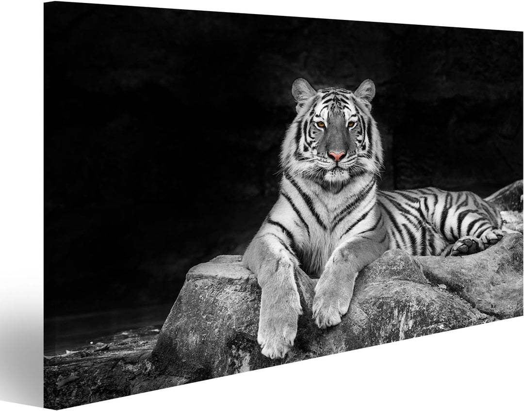 Bild auf Leinwand weisser Tiger Wandbild Poster Leinwandbild 100x57 1-teilig, 100x57 1-teilig