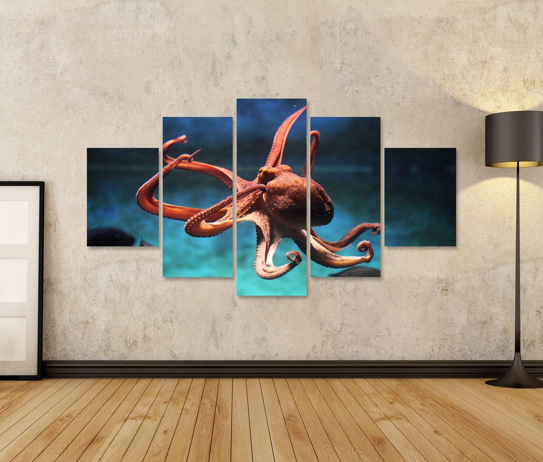 islandburner Bild auf Leinwand Oktopus (Octopus Vulgaris) Wildes Tier Im Wasser Bilder Wandbilder Po