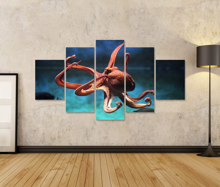 islandburner Bild auf Leinwand Oktopus (Octopus Vulgaris) Wildes Tier Im Wasser Bilder Wandbilder Po