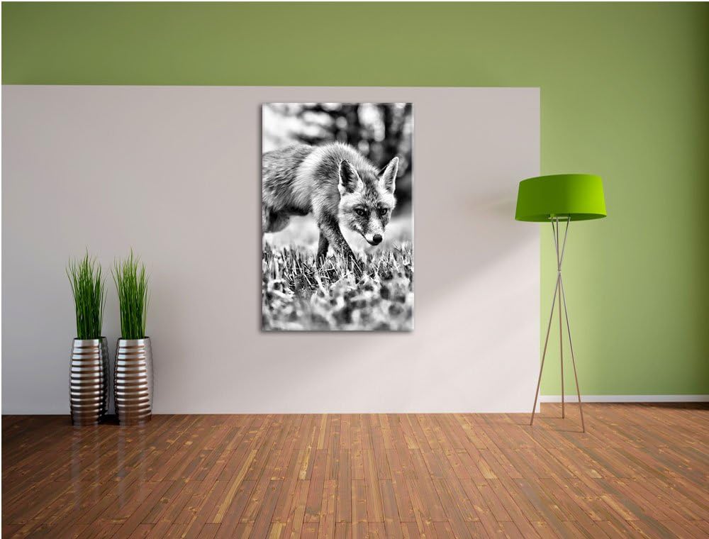 Monocrome, Schöner Fuchs , Format: 100x70 auf Leinwand, XXL riesige Bilder fertig gerahmt mit Keilra