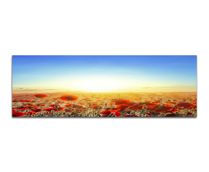 Paul Sinus Art Panoramabild auf Leinwand und Keilrahmen 150x50cm Mohnblumen Wiese Sonnenaufgang