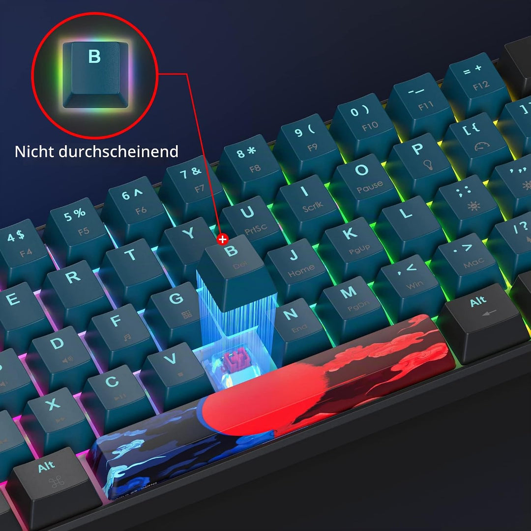 SOLIDEE mechanische gaming tastatur 60 prozent,61 Tasten kompakte mechanische tastatur RGB Hintergru
