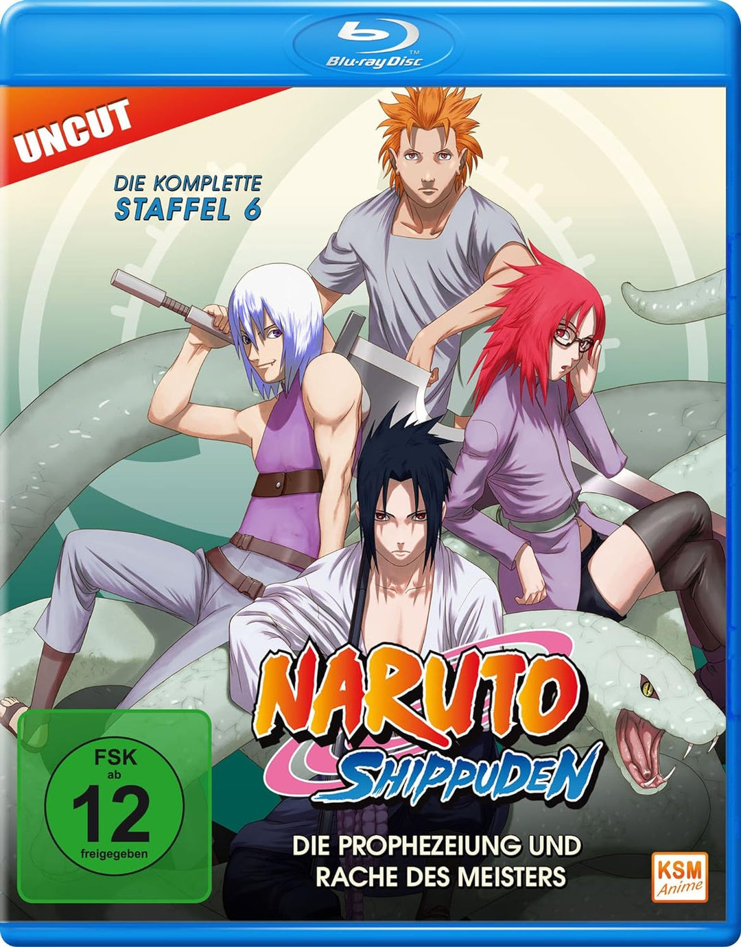Naruto Shippuden - Staffel 6: Folge 333-363 - Die Prophezeiung und Rache des Meisters (Uncut) [Blu-r
