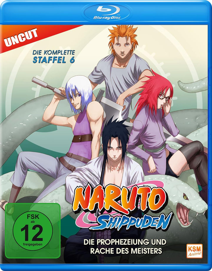 Naruto Shippuden - Staffel 6: Folge 333-363 - Die Prophezeiung und Rache des Meisters (Uncut) [Blu-r