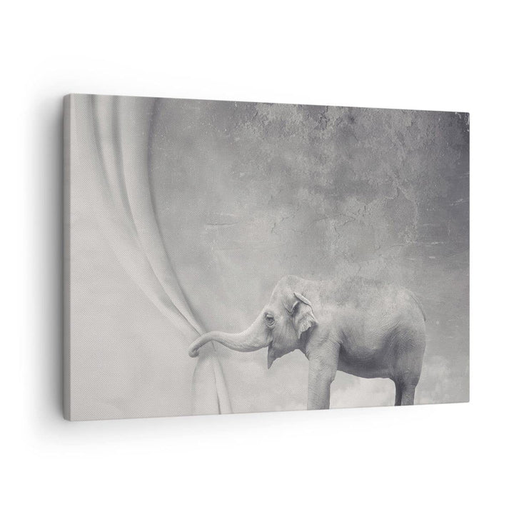 Bilder auf Leinwand Elefant Vorhang Abstraktion Phantasie Leinwandbild 70x50cm Wandbilder Dekoration