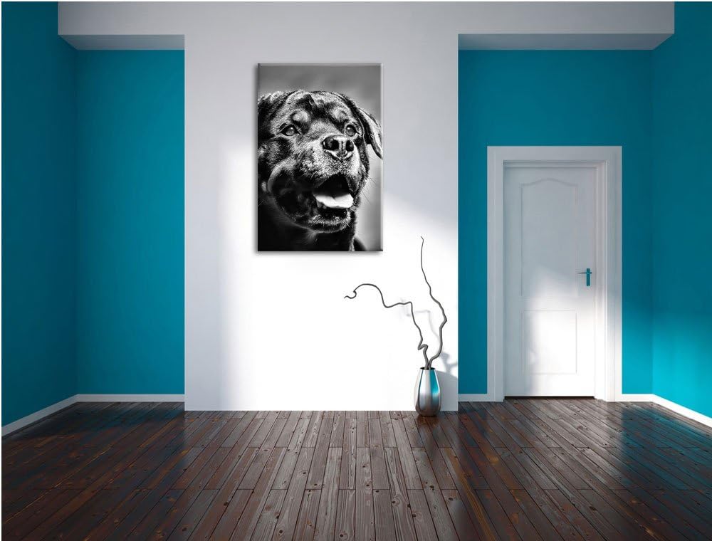 Pixxprint Treuer Rottweiler als Leinwandbild/Grösse: 100x70 cm/Wandbild/Kunstdruck/fertig bespannt,
