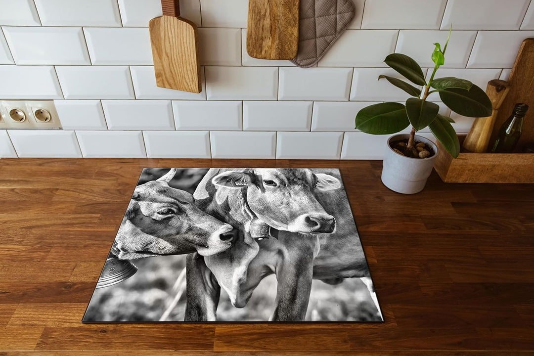 Kühe auf der Weide Herdabdeckplatte & Spritzschutz aus Echtglas | Für Herd-Kochfelder | 60x52 cm