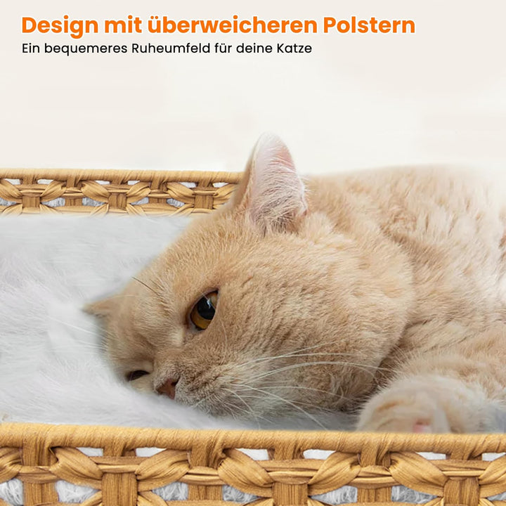 XXL Verstecktes Katzenklo Möbel mit Plüschkissen, 90x50x65cm Handgewebtes Rattan Katzenhaus, Stabil