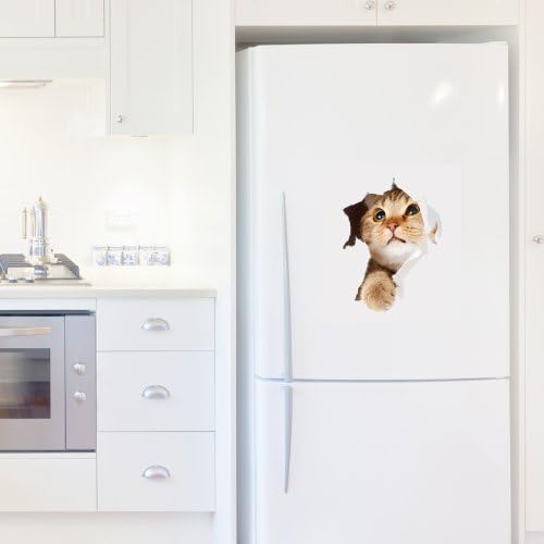Sticker 3D Effekt | Wandaufkleber Katze - Tapete Dekoration optische Täuschung Raum und Wohnzimmer |