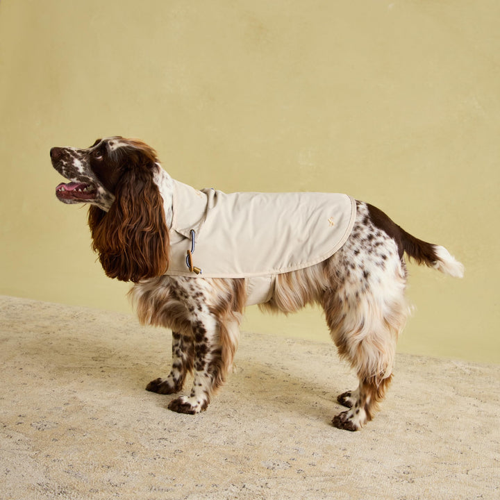 Rosewood x Joules Sandschalen-Regenmantel für Hunde, mittelgross, waschbar, leicht, wasserabweisend,