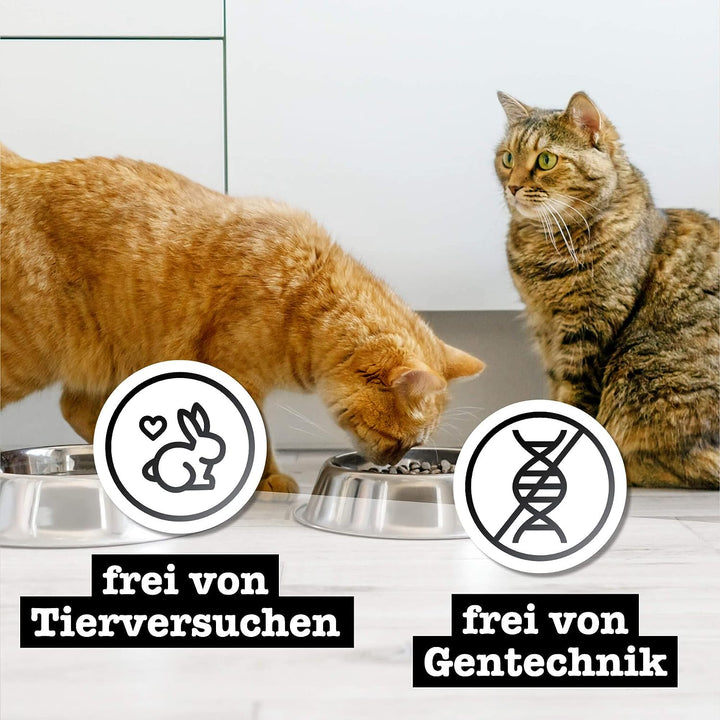 catz finefood Purrrr Schaf Monoprotein Katzenfutter nass N° 113, für ernährungssensible Katzen, 70%