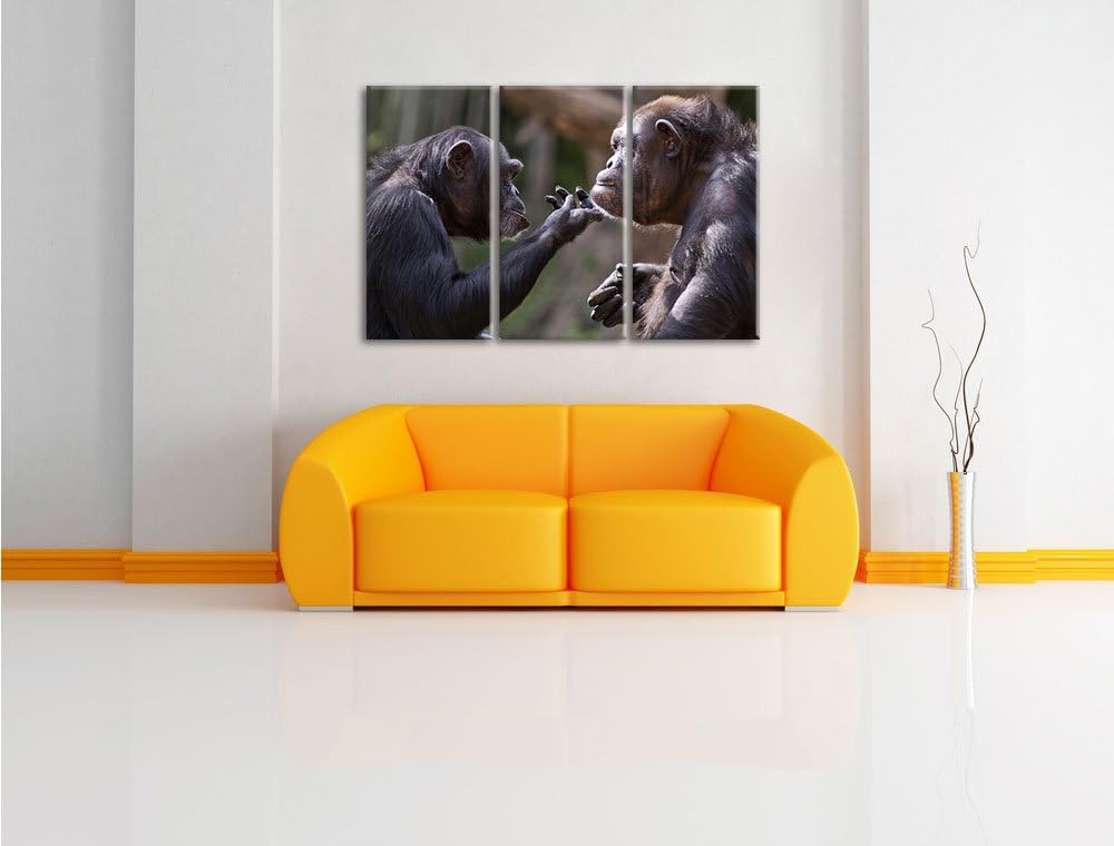 Pixxprint Schimpansen Freundschaft als Leinwandbild | Grösse: 3 Teilig (120x80) | Wandbild| Kunstdru