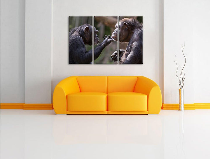 Pixxprint Schimpansen Freundschaft als Leinwandbild | Grösse: 3 Teilig (120x80) | Wandbild| Kunstdru