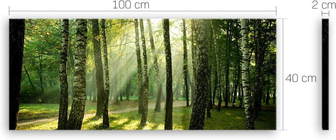ge Bildet Bild auf Leinwand | Landschaftsbilder - Wald I in 100x40 cm als Panorama Wandbild | Wand-d